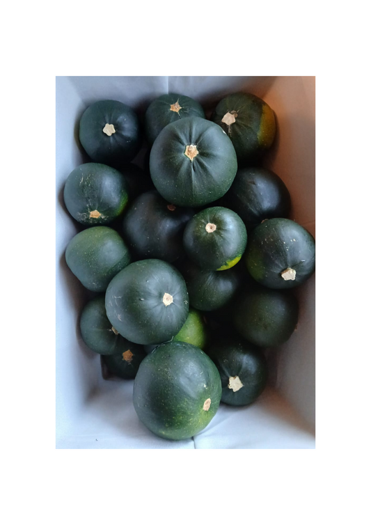 Gemsquash 2kg